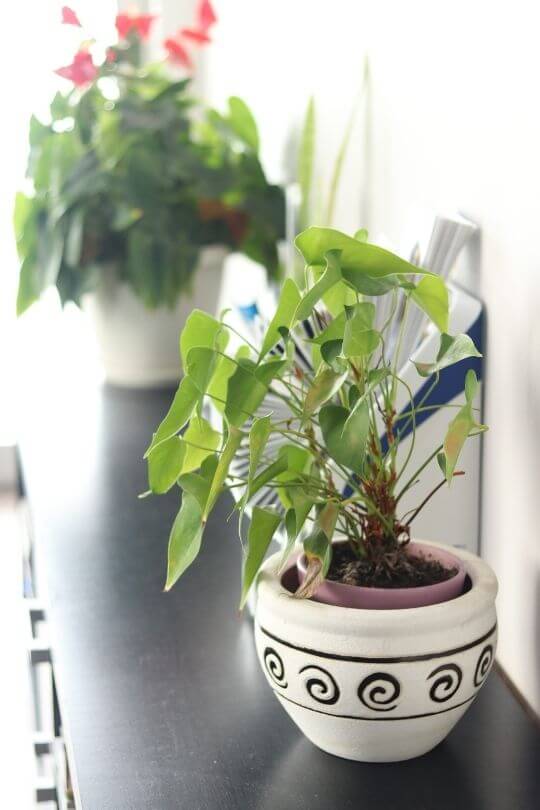 DentalWize Protea Heights